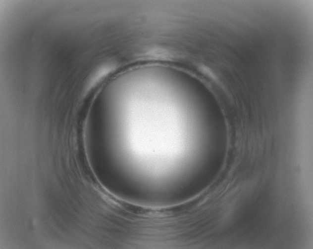X0000082161307200701262324