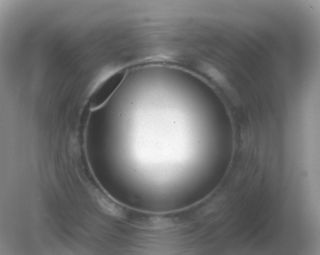 X0000082161308200701262324