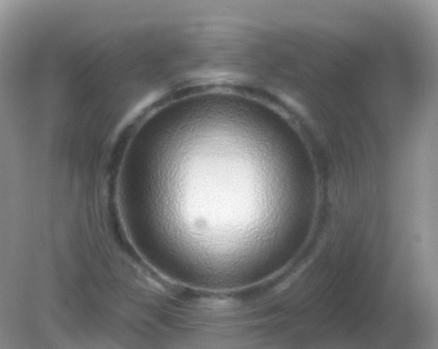 X0000082161309200701262324