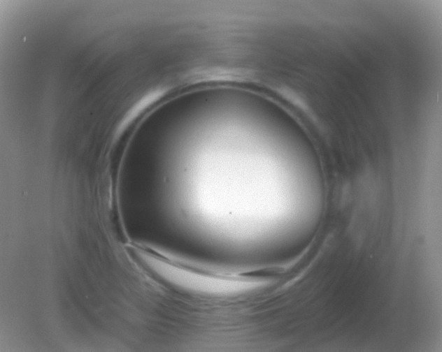 X0000082161317200701262324