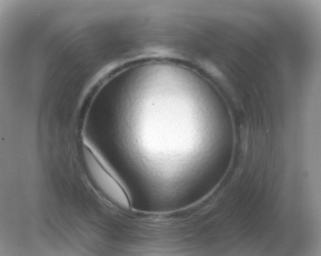 X0000082161318200701262324