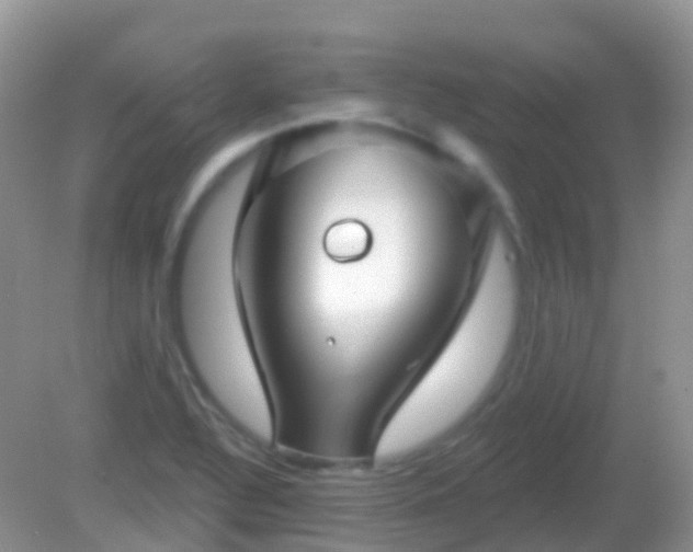 X0000082161320200701262324