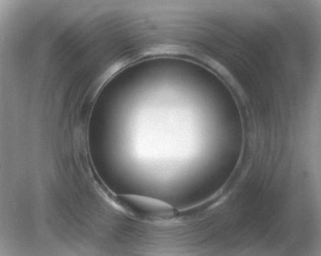 X0000082161337200701262324