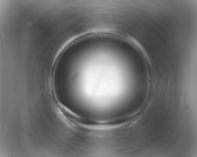 X0000082161340200701262324