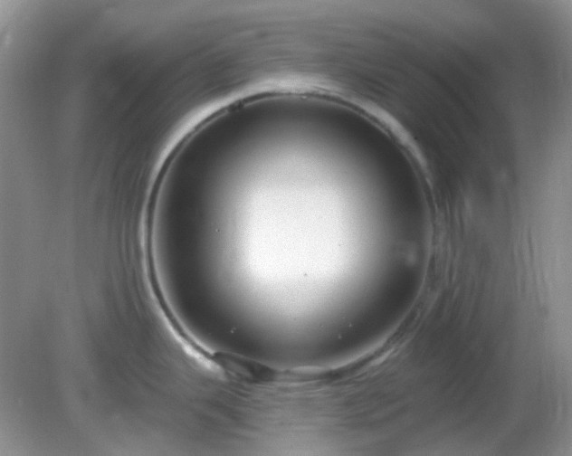 X0000082161343200701262324