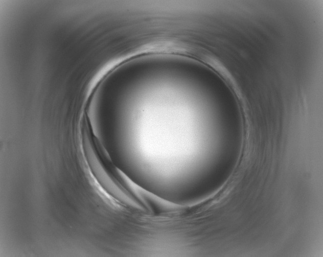X0000082161344200701262324