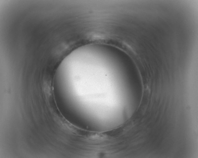 X0000082161348200701262323
