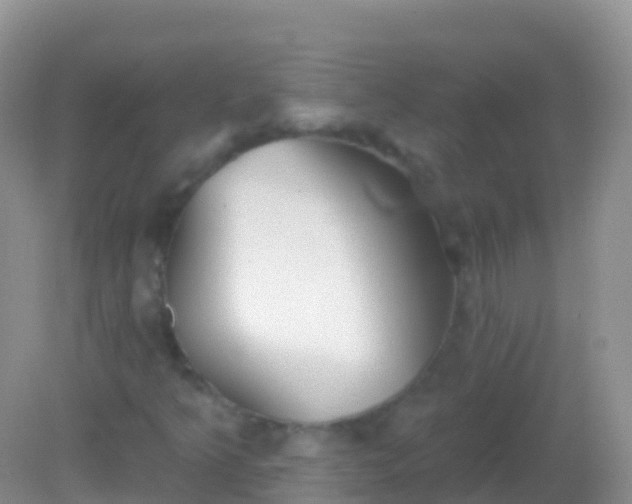 X0000082161349200701262323