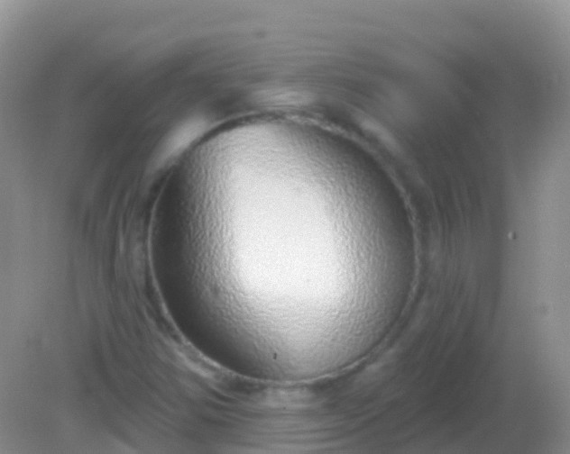 X0000082161354200701262323