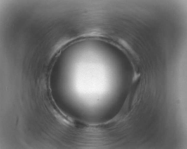 X0000082161356200701262323