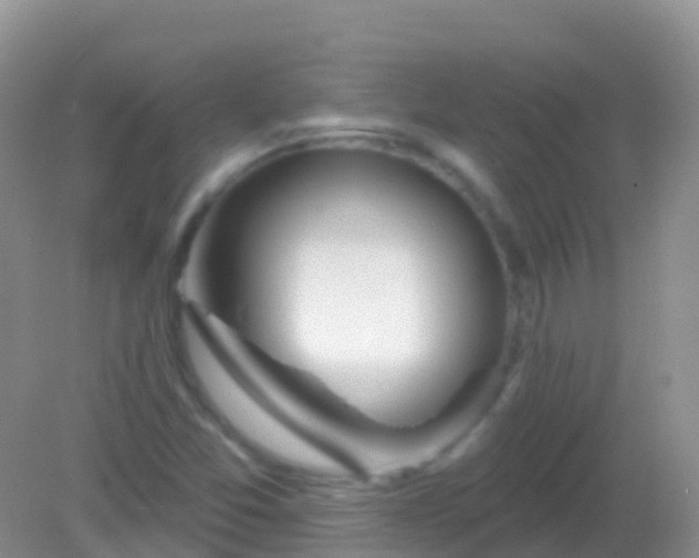 X0000082161357200701262323