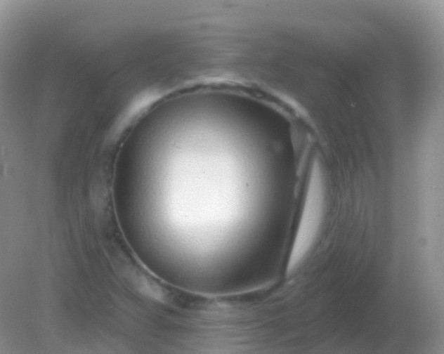 X0000082161359200701262323