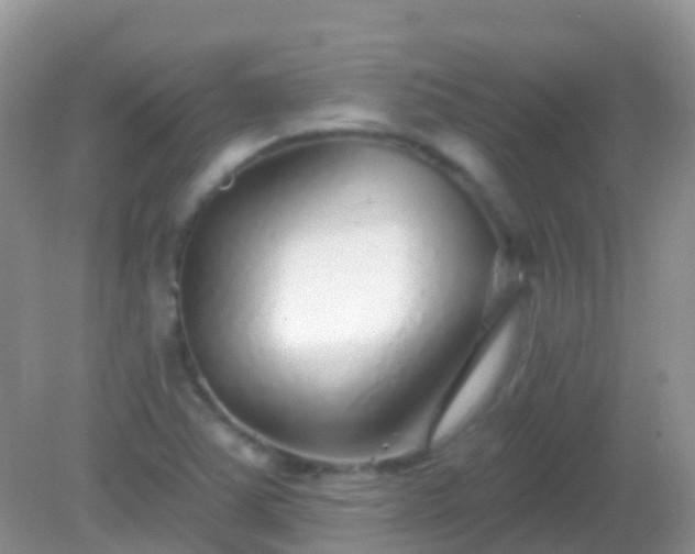 X0000082161363200701262323