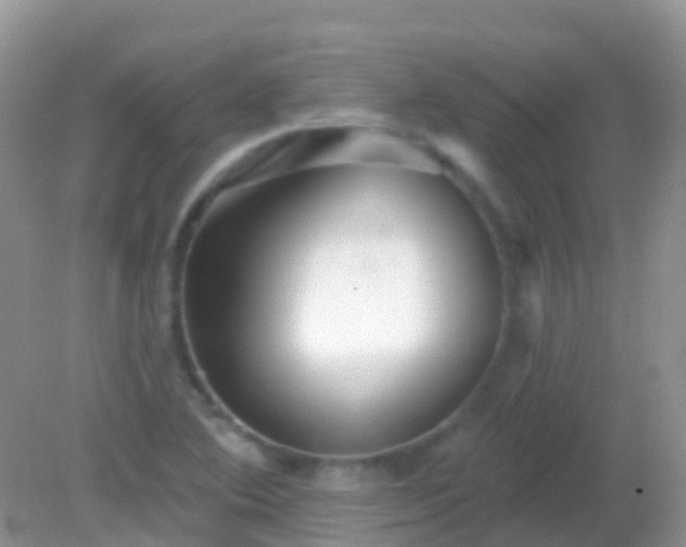 X0000082161364200701262323