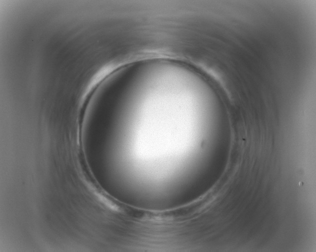 X0000082161365200701262323