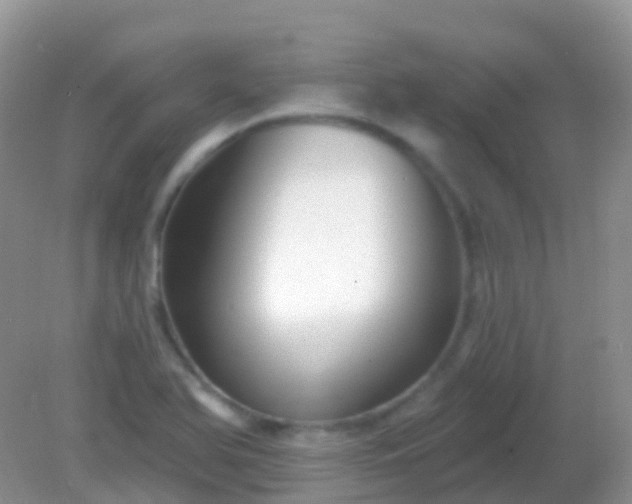 X0000082161366200701262323