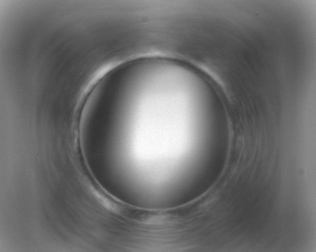 X0000082161367200701262323
