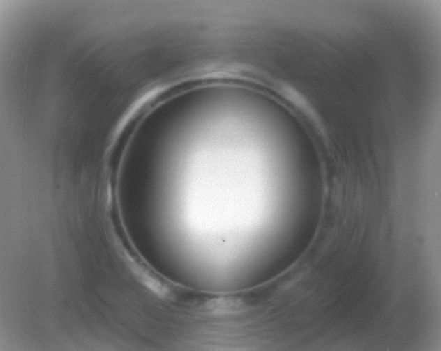 X0000082161368200701262323