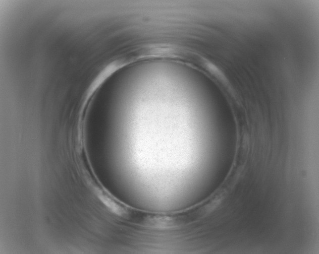 X0000082161370200701262323