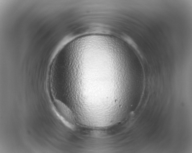 X0000082161379200701262323