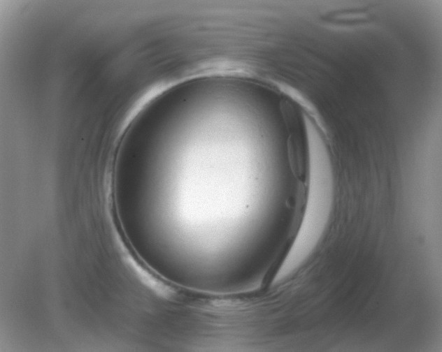 X0000082161383200701262323