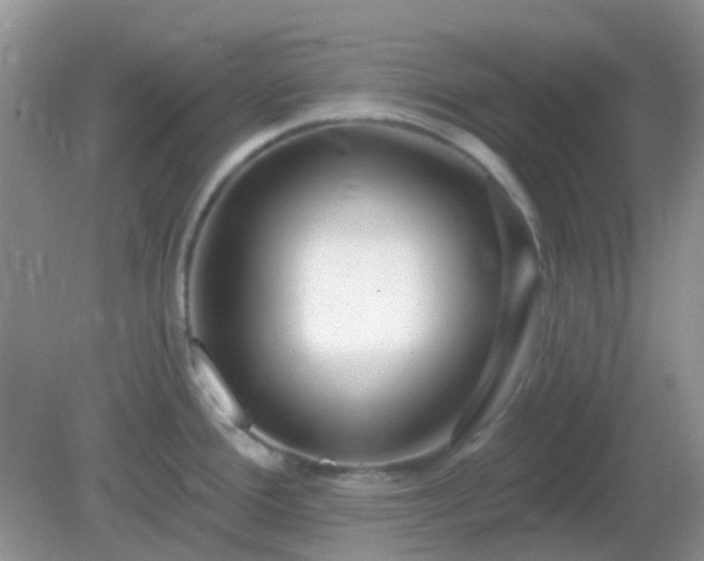 X0000082161388200701262323