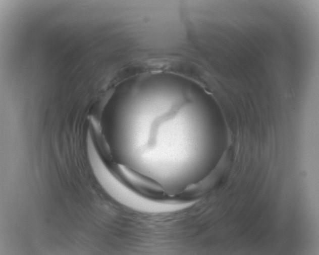 X0000082161394200701262322