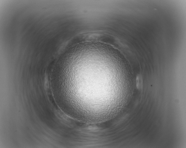 X0000082161395200701262322