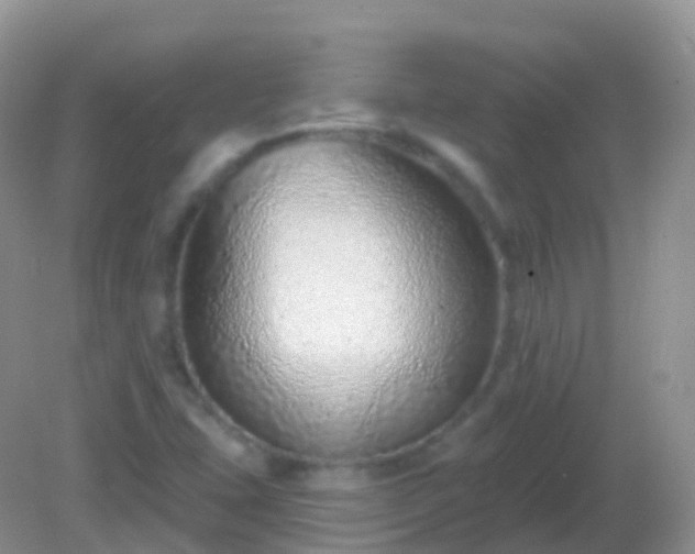 X0000082161407200701262322