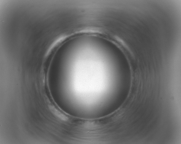X0000082161408200701262322