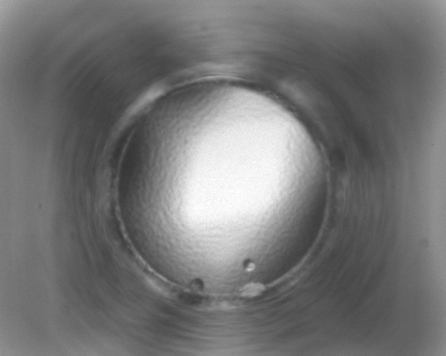 X0000082161411200701262322