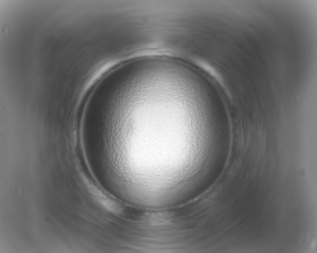 X0000082161415200701262322