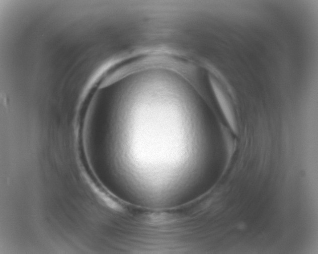 X0000082161416200701262322