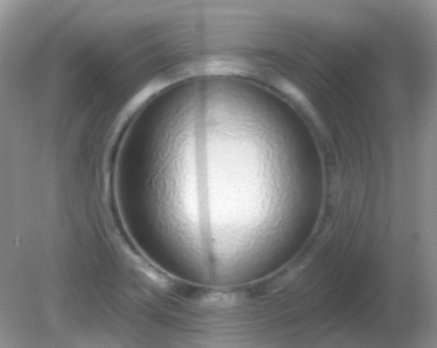 X0000082161419200701262322