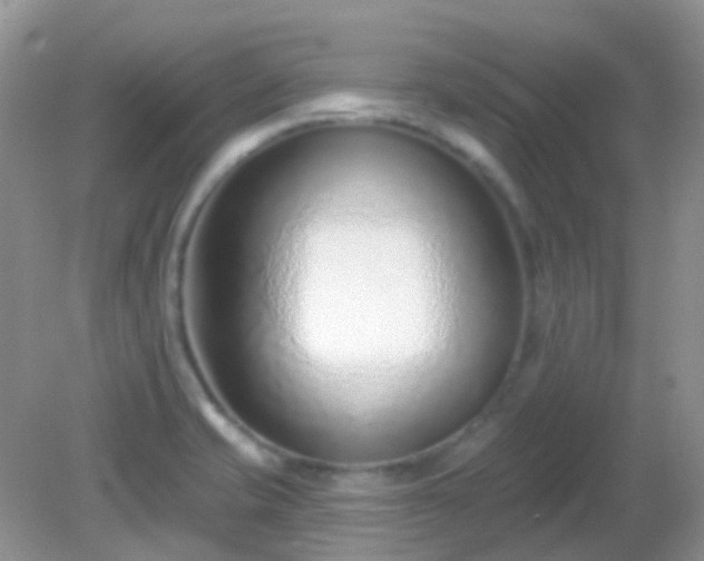 X0000082161421200701262322