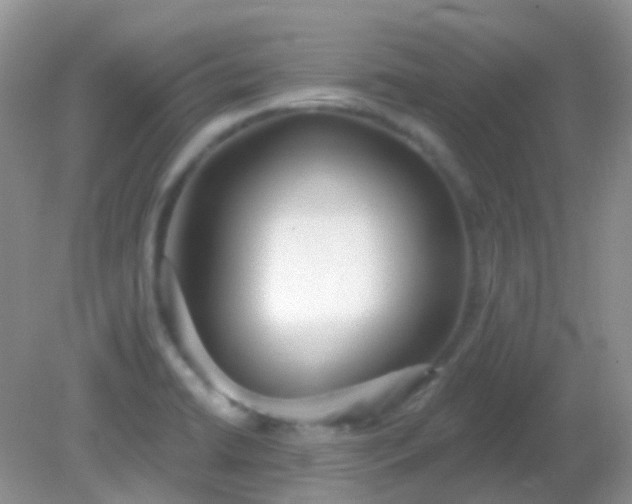 X0000082161422200701262322