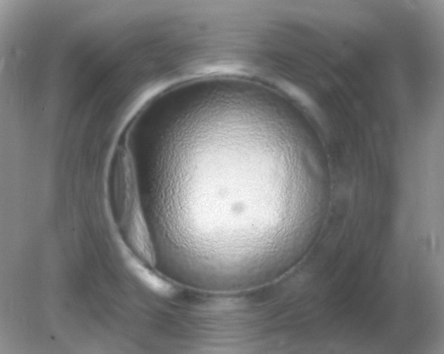 X0000082161423200701262322