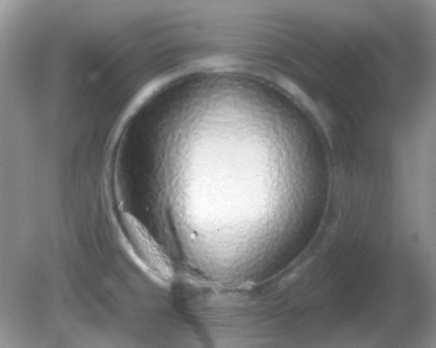 X0000082161429200701262323