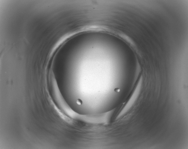 X0000082161430200701262323