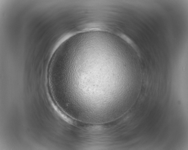 X0000082161431200701262323