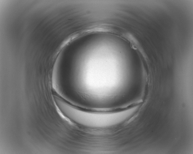 X0000082161433200701262323