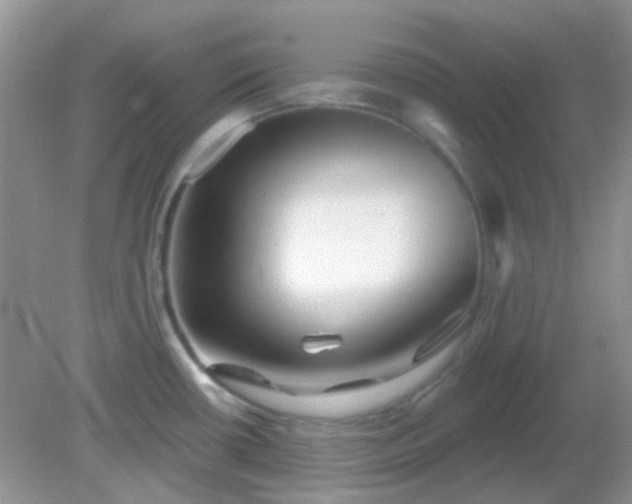 X0000082161434200701262323
