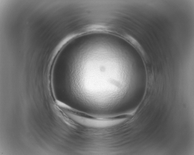 X0000082161435200701262323
