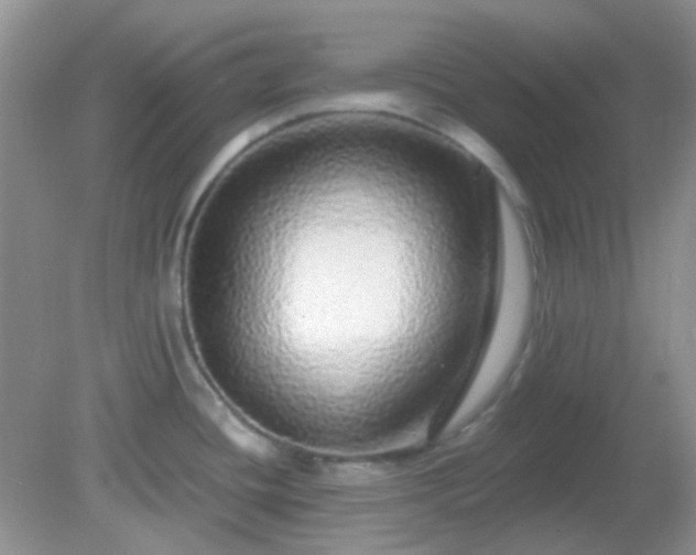 X0000082161436200701262323
