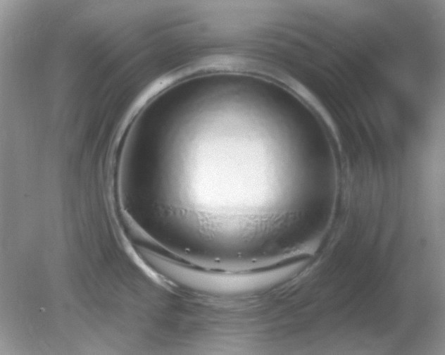 X0000082161437200701262323