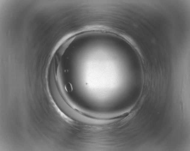 X0000082161438200701262323