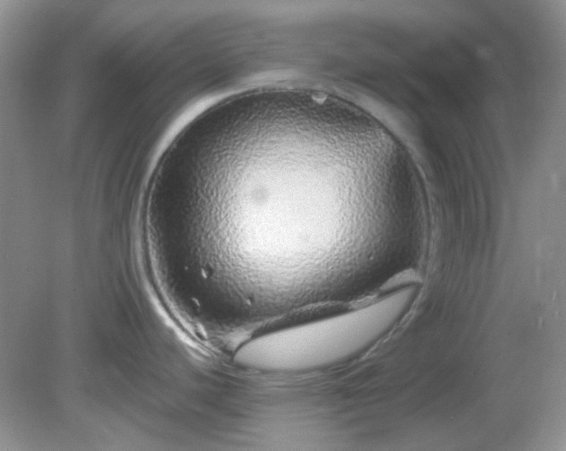 X0000082161440200701262323