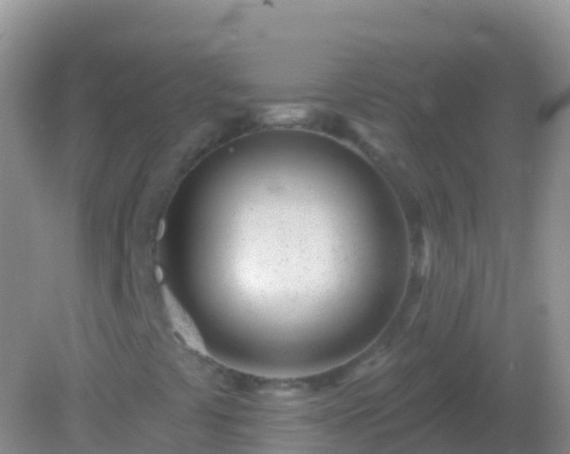 X0000082161441200701262322