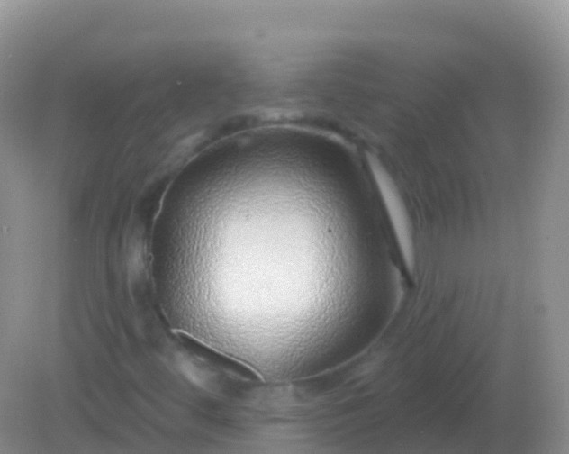 X0000082161444200701262322
