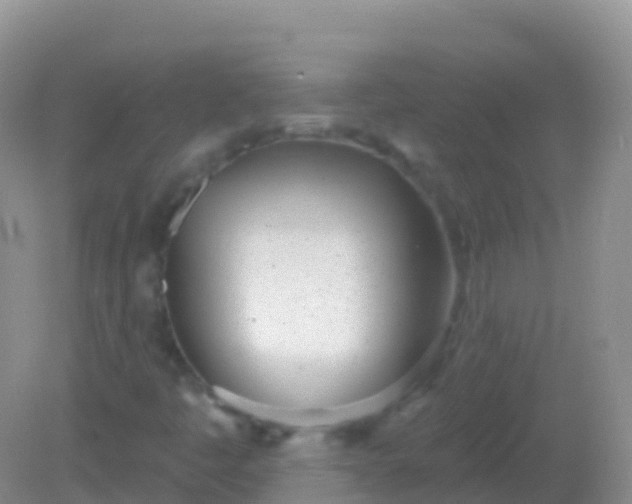 X0000082161445200701262322